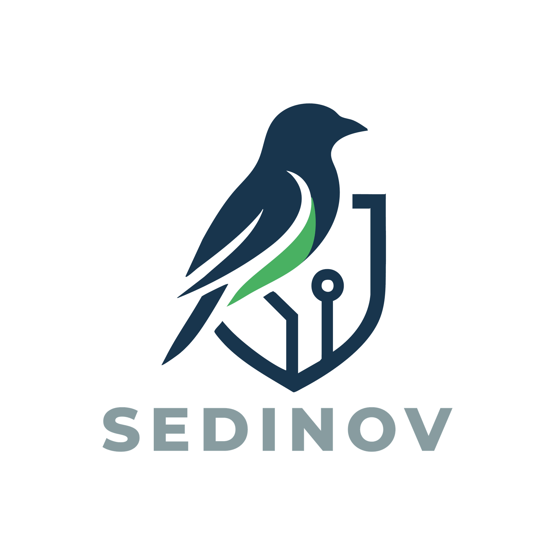 Sedinov